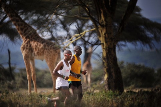 Das Bild zeigt Henry Wanyoike und sein Begleitläufer Joseph Kibunja von links nach rechts laufend. Im Hintergrund Bäume und eine Giraffe.