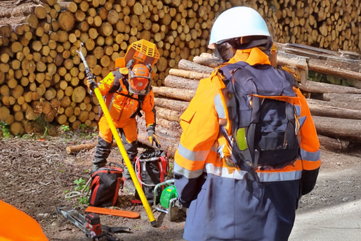 Zwei Personen in Schutzausrüstung bei der Waldarbeit
