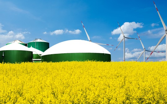 Foto: Biogasanlage und Windräder stehen hinter einem Rapsfeld bei blauem Himmel