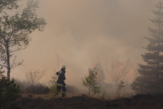 Bild eines Feuerwehrmanns umgeben von Rauch in einem Waldbrand