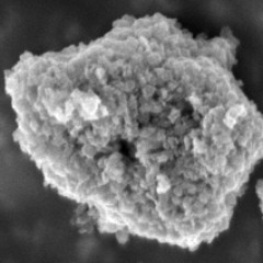Scanning electron microscopic images of particles (Titanium dioxide)