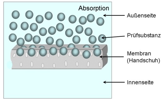  Grafische Darstellung einer Membran mit eindringenden Molekülen