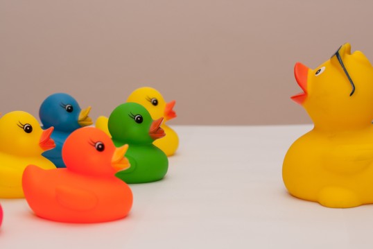 Rubber ducks