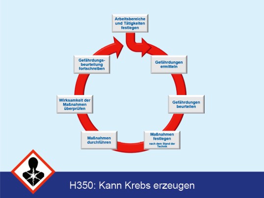 Kreislaufdarstellung der Vorgehensweise bei einer Gefährdungsbeurteilung nach TRGS 400: Beginnend bei der Ermittlung der Gefährdungs, über die Beurteilung bis hin zur Festlegung und Überprüfung von Maßnahmen