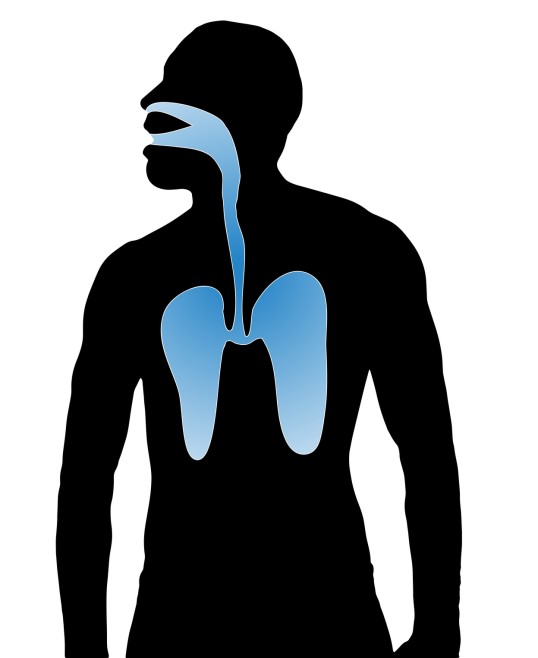 Menschliche Silhouette mit Darstellung der Atemwege
