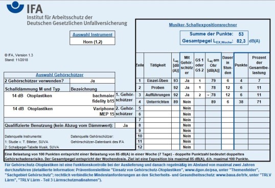 Screenshot der Berechnungssoftware