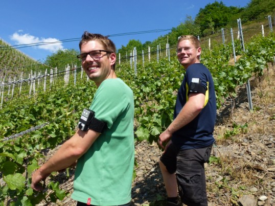 Zwei mit Dosimeter am Arm ausgestattete Arbeiter im Weinberg