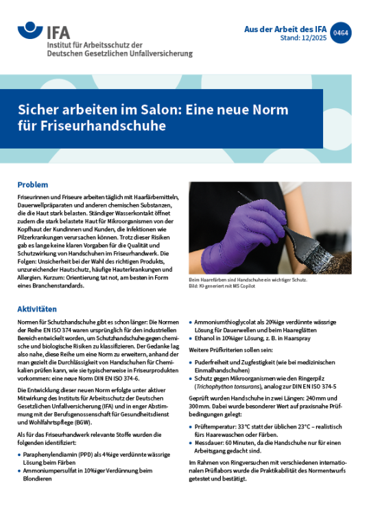 Muster eines Infoblatts "Aus der Arbeit des IFA"