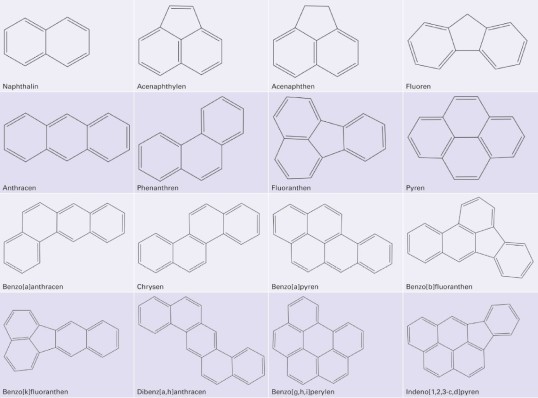 Grafik der 16 EPA-PAK Strukturformeln