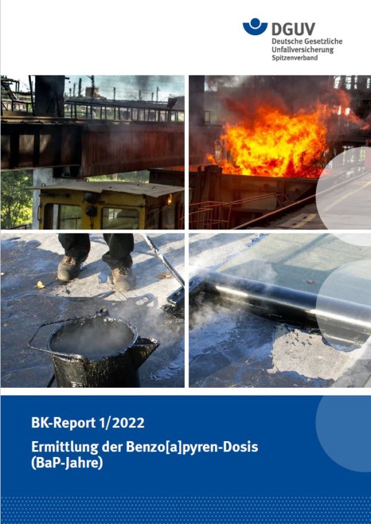 Cover des BK-Reports 