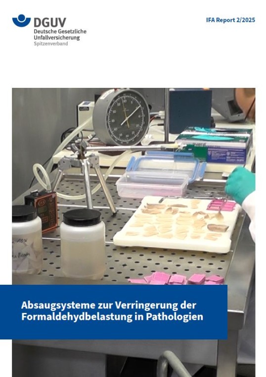 Titelseite des IFA Reports 2/2025