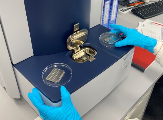 Bild: man sieht zwei Hände mit blauen Handschuhen die gerade Proben von Biostoffen in einer Petrischale vorbereitet 