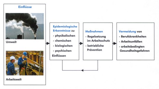 Diagramm: Abklärung von Risiken