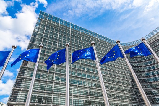 european flaggs before a building