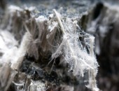 Bild von asbestverseuchten Fasern.