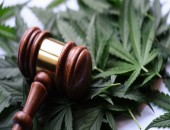 Gerichtshammer auf Cannabisblättern