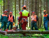 Foto: Unterweisung von Waldarbeitern 