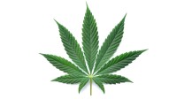 Symbolic image: a cannabis leaf