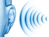 Illustration: Schallwellen treffen auf ein Ohr