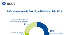 Kreisdiagramm der anerkannten Berufskrankheiten 2023