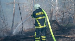 Bild: Ein Feuerwehrmann bekleidet mit Schutzanzug und Helm hat einen Löschschlauch geschultert. Er steht inmitten von Bäumen und löscht einen Brand.