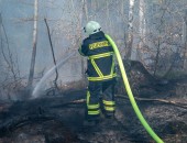 Bild: Ein Feuerwehrmann bekleidet mit Schutzanzug und Helm hat einen Löschschlauch geschultert. Er steht inmitten von Bäumen und löscht einen Brand.