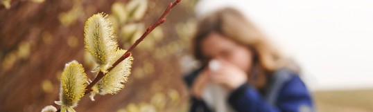 Eine Frau, die in der Natur steht und sich mit einem Taschentuch die Nase putzt. Im Vordergrund ist ein Ast mit Blütenpollen zu erkennen. 