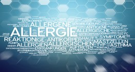 Wortwolke zum Begriff 