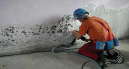 Ein Mann entfernt Schimmelbefall von einer Wand.