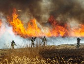 Feuerwehreinsatzkärfte bei der Bekämpfung eines Vegetationsbrandes 