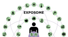 Das Exposom - die Gesamtheit der auf den Menschen einwirkenden Umwelteinflüsse