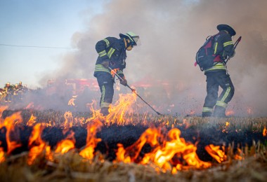 Feuerwehrkraft in Schutzkleidung löschen einen Flächenbrand. (Bild: xsim7x / stock.adobe.com)