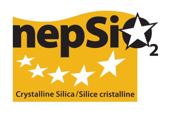 Logo von nepSi